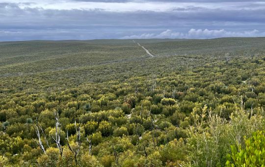 The road to Flinders Chase